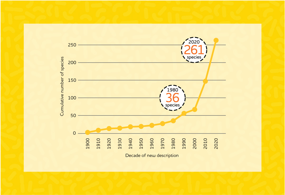 Lactobacillus graph number of species